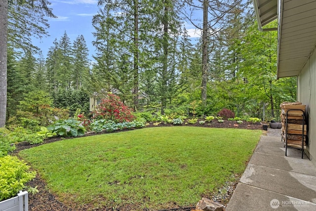 17225 429th Ave SE, North Bend, WA 98045 - view of grassy yard