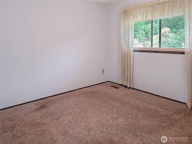 2283 Darvic Pl, Oak Harbor, WA 98277 - photo 22