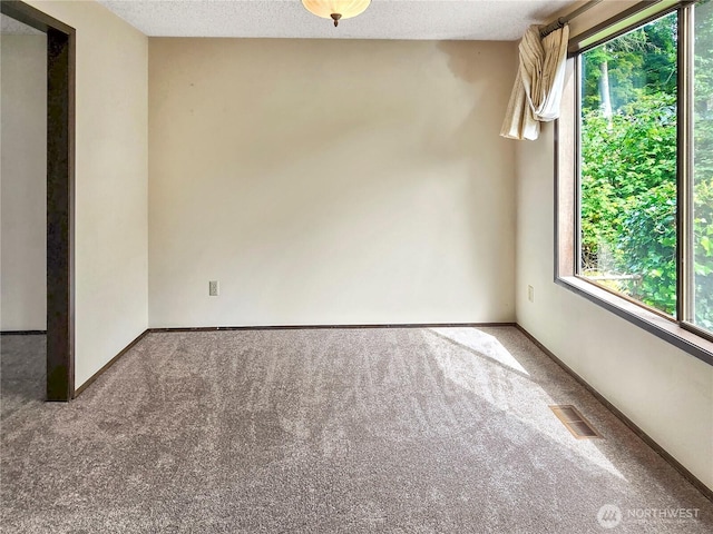 2283 Darvic Pl, Oak Harbor, WA 98277 - photo 9