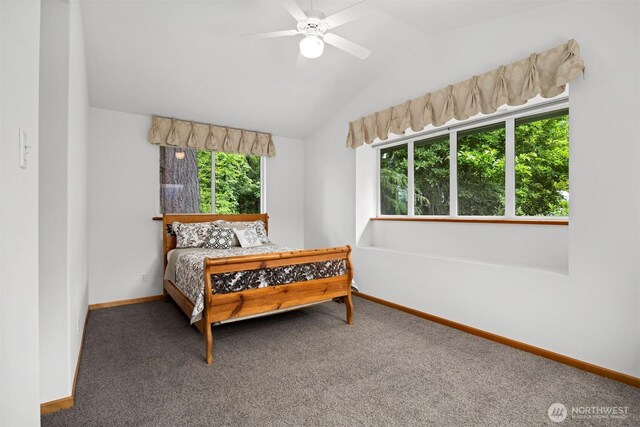 4203 Harrison St, Bellingham, WA 98229 - photo 13