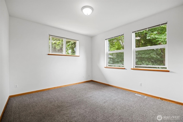 4203 Harrison St, Bellingham, WA 98229 - photo 18