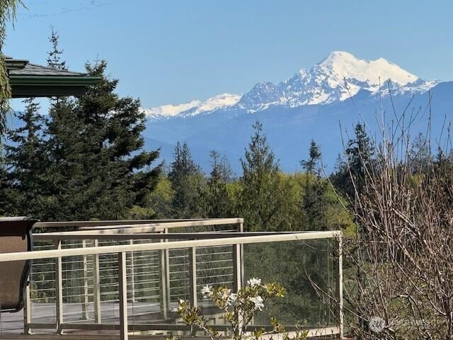 7001 Palm Ln, Anacortes, WA 98221 - view of mountain background