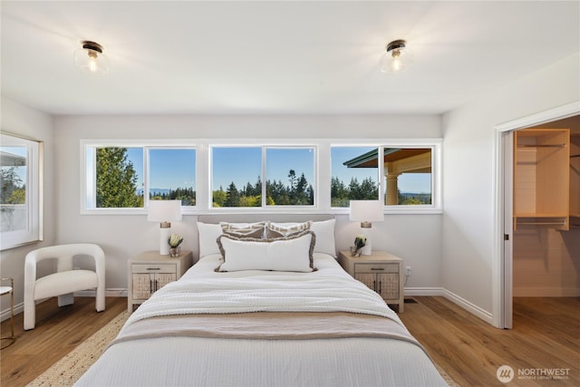 7001 Palm Ln, Anacortes, WA 98221 - bedroom with light wood-style flooring and a walk in closet