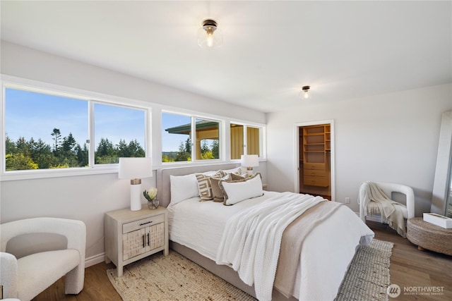 7001 Palm Ln, Anacortes, WA 98221 - bedroom featuring multiple windows, light wood-style flooring, and a spacious closet