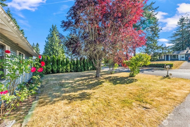 6643 E Tonia St, Tacoma, WA 98404 - photo 4