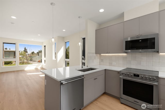 9217B 14th Ave NW, Seattle, WA 98117 - kitchen featuring stainless steel appliances, gray cabinetry, light wood-style floors, a peninsula, and tasteful backsplash