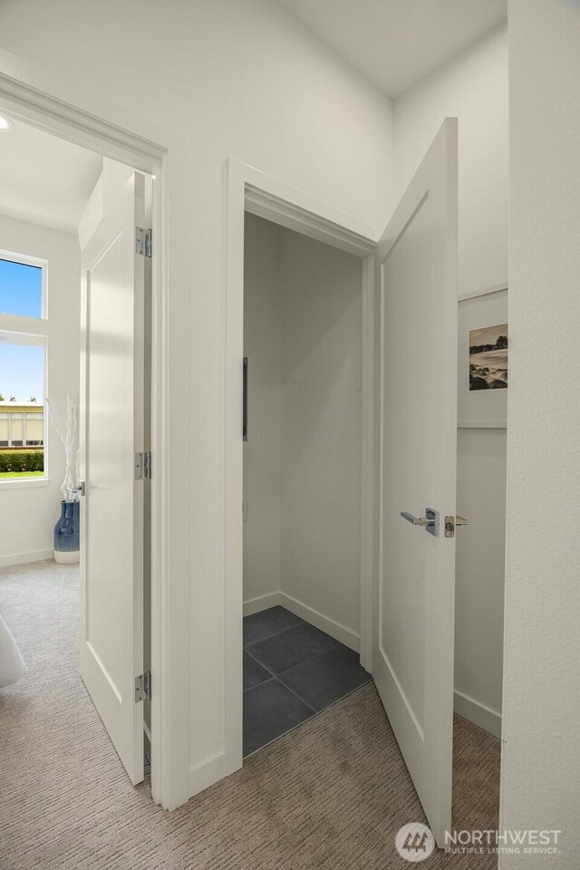 9219D 14th Ave NW, Seattle, WA 98117 - photo 19