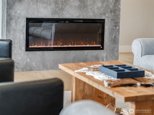 168 Lakeside Dr, Mossyrock, WA 98564 - detailed view of a glass covered fireplace and wood finished floors