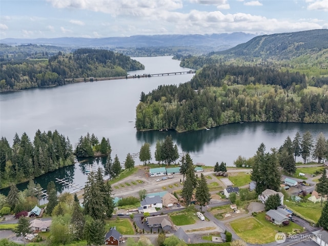 168 Lakeside Dr, Mossyrock, WA 98564 - aerial overview of property's location with a heavily wooded area and a nearby body of water