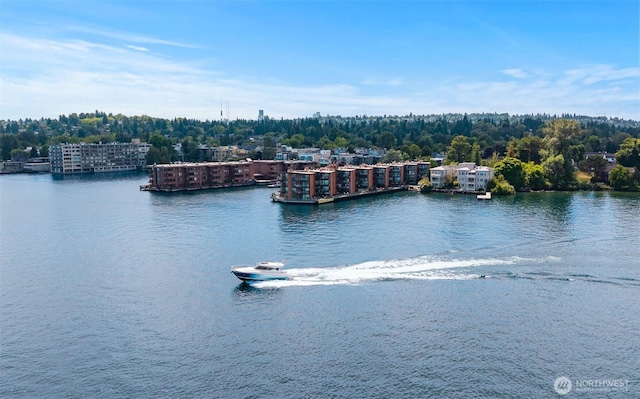 2360 43rd Ave E Unit 404, Seattle, WA 98112 - water view