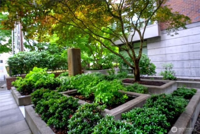 4547 8th Ave NE Unit 209, Seattle, WA 98105