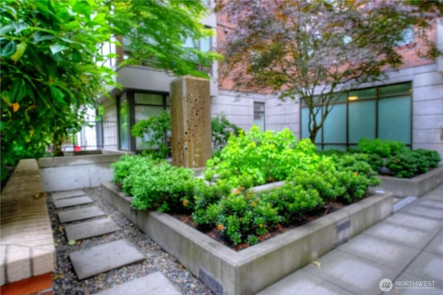 4547 8th Ave NE Unit 209, Seattle, WA 98105