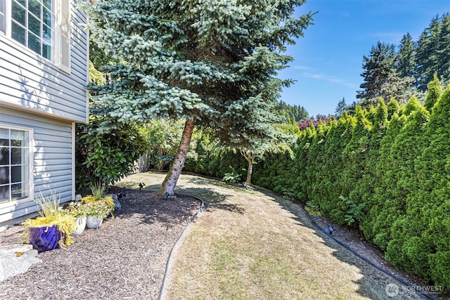 13233 59th Ave W, Edmonds, WA 98026 - view of yard