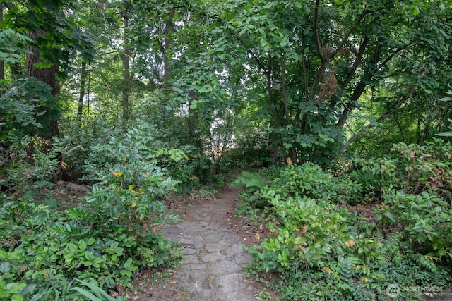 0 1st Ave NE, Seattle, WA 98125 - photo 1