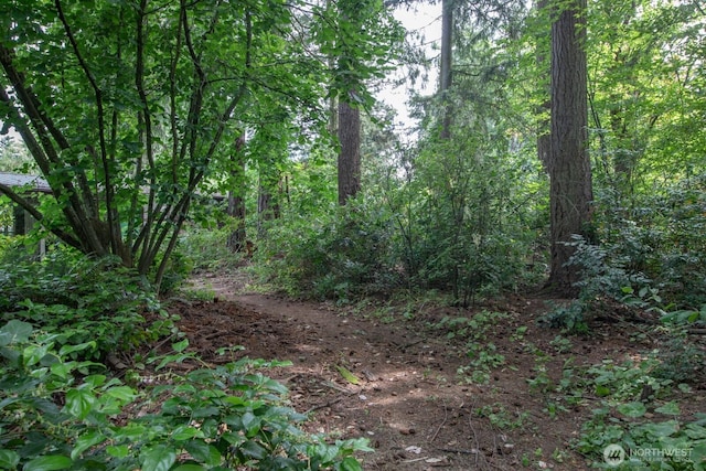 0 1st Ave NE, Seattle, WA 98125 - photo 4