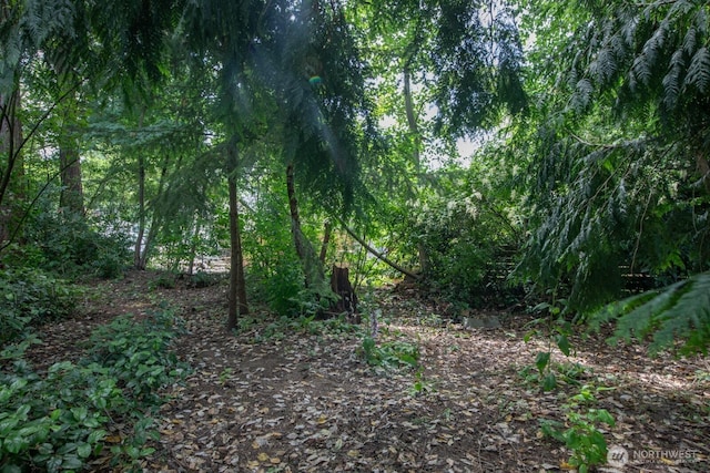 0 1st Ave NE, Seattle, WA 98125 - photo 5