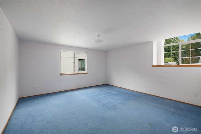 7933 48th Ave SE, Lacey, WA 98503 - photo 29