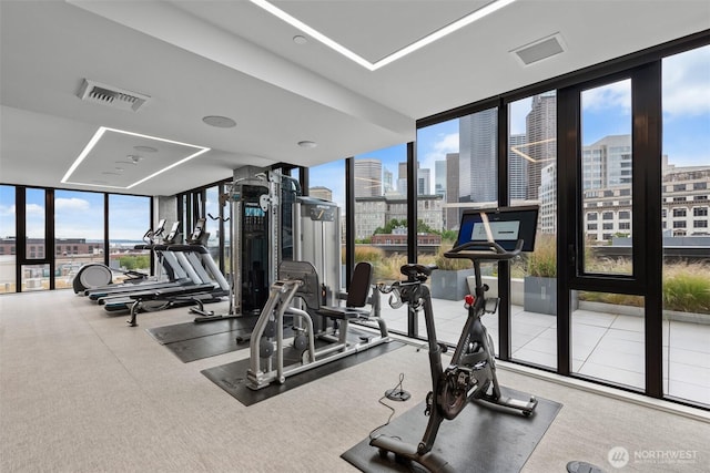 450 S Main St Unit 505, Seattle, WA 98101 - workout area featuring expansive windows, a view of skyline, healthy amount of natural light, and carpet flooring