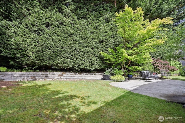 909 110th Ave SE, Bellevue, WA 98004 - photo 35
