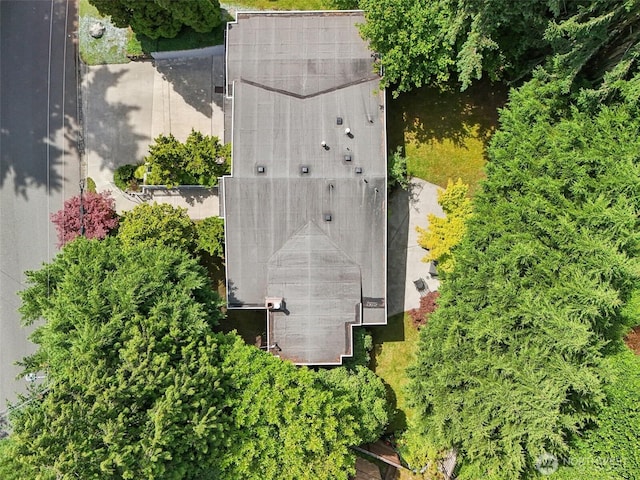909 110th Ave SE, Bellevue, WA 98004 - photo 38