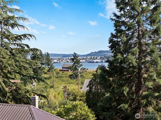7554 Guemes Island Rd, Anacortes, WA 98221 - view of mountain background with a large body of water