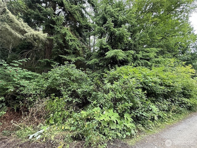 0 Hill St, Port Ludlow, WA 98365 - photo 6