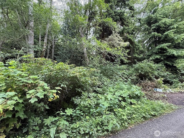 0 Hill St, Port Ludlow, WA 98365 - photo 7