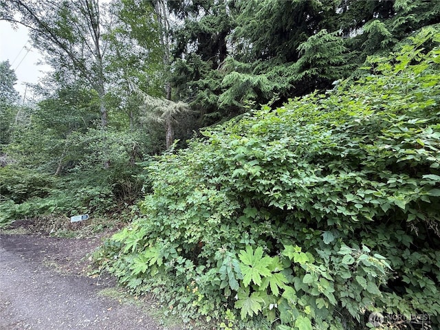 0 Hill St, Port Ludlow, WA 98365 - photo 8