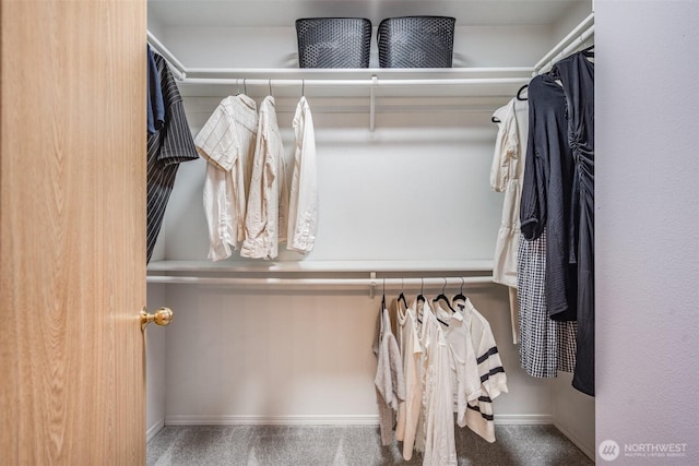 6713 135th E, Puyallup, WA 98373 - spacious closet featuring carpet floors
