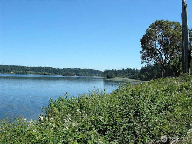 14123 22nd Street Ct SW, Lakebay, WA 98349