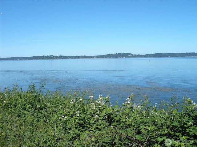 14123 22nd Street Ct SW, Lakebay, WA 98349