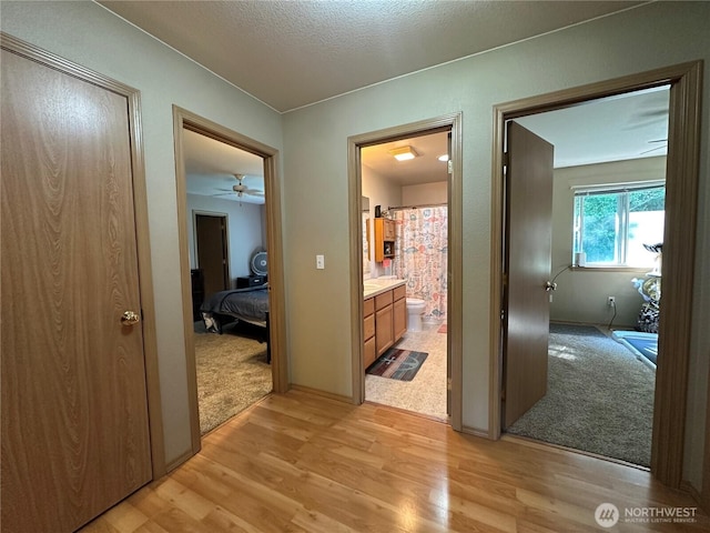 15015 105th Ave SE, Yelm, WA 98597 - corridor with light wood-type flooring and a textured ceiling