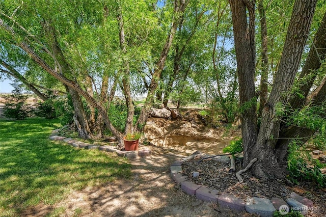 101 E 8th St, Lind, WA 99341 - view of grassy yard