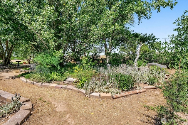 101 E 8th St, Lind, WA 99341 - view of yard