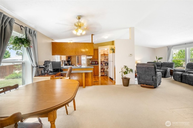 101 E 8th St, Lind, WA 99341 - dining area with a ceiling fan and light carpet