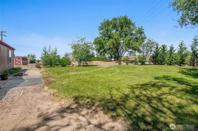 101 E 8th St, Lind, WA 99341 - view of green lawn with a shed