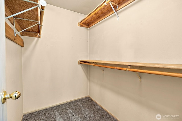 3117 243rd Street Ct E, Spanaway, WA 98387 - walk in closet featuring carpet flooring