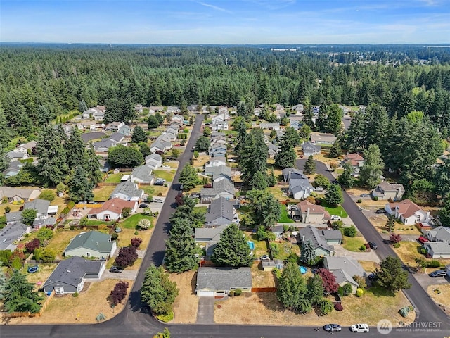 3117 243rd Street Ct E, Spanaway, WA 98387 - view of property location with nearby suburban area
