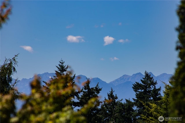 18552 15th Loop NE, Poulsbo, WA 98370 - view of mountain background