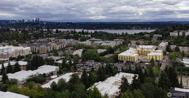 7549 SE 29th St Unit 301, Mercer Island, WA 98040 - bird's eye view of a large body of water and a heavily wooded area