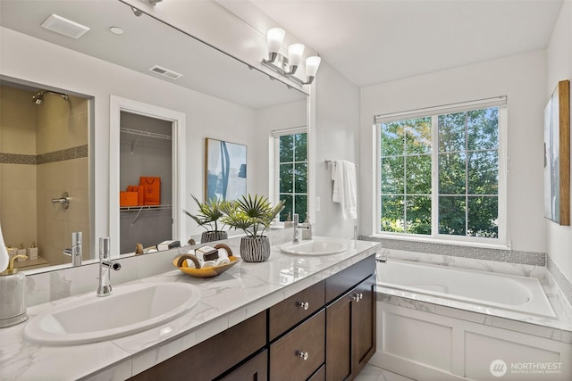 15791 NE 114th Way, Redmond, WA 98052 - bathroom featuring a garden tub, double vanity, and plenty of natural light