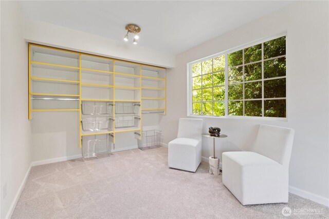 5424 156th Dr NE, Redmond, WA 98052 - photo 24