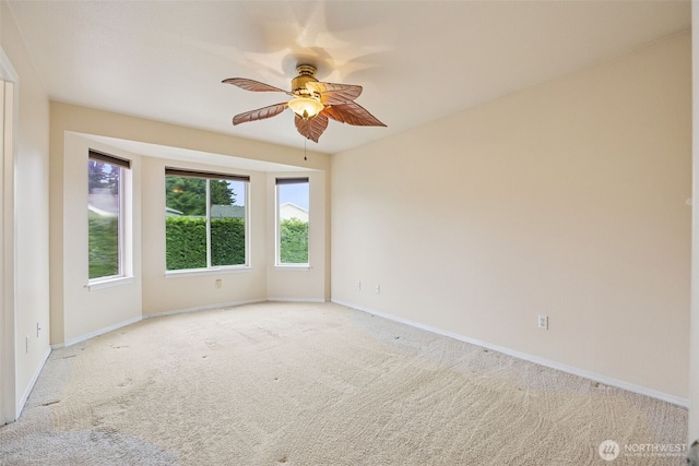 19315 73rd Ave E, Spanaway, WA 98387 - photo 12