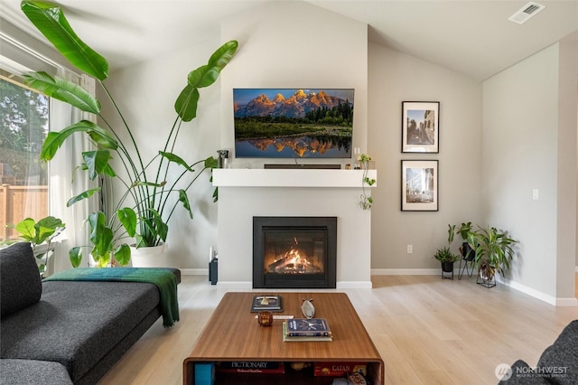 16712 8th Ave E, Spanaway, WA 98387 - living area featuring wood finished floors, a glass covered fireplace, and lofted ceiling