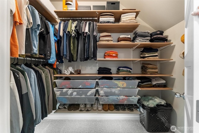 16712 8th Ave E, Spanaway, WA 98387 - spacious closet with carpet floors and vaulted ceiling