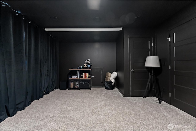 16712 8th Ave E, Spanaway, WA 98387 - below grade area with carpet flooring