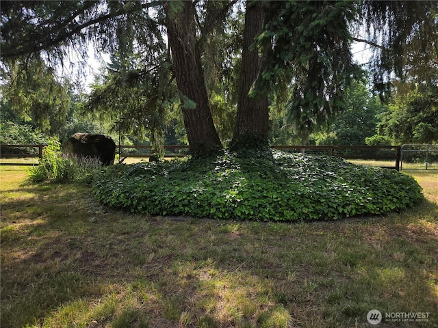 34714 50th Ave S, Roy, WA 98580 - photo 24