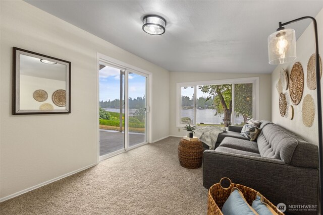 31089 E Lake Morton Dr SE, Kent, WA 98042 - photo 16