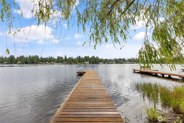 31089 E Lake Morton Dr SE, Kent, WA 98042 - photo 4