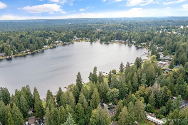 31089 E Lake Morton Dr SE, Kent, WA 98042 - photo 32
